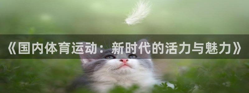 ug环球官网注册：《国内体育运动：新时代的活力与魅力》