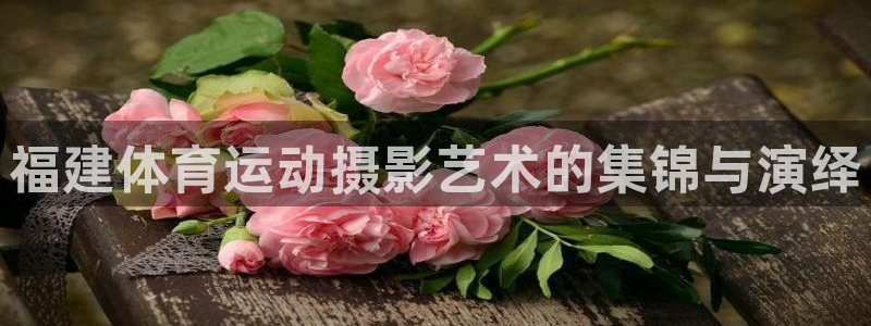 ug环球官网注册：福建体育运动摄影艺术的集锦与演绎