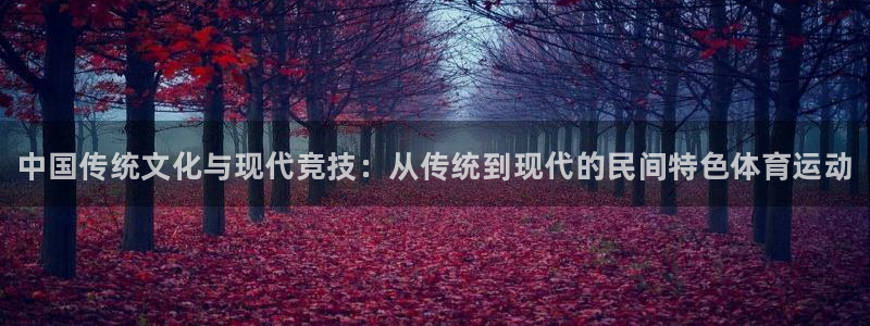 ug环球官网：中国传统文化与现代竞技：从传统到现代的民间特色体育运动