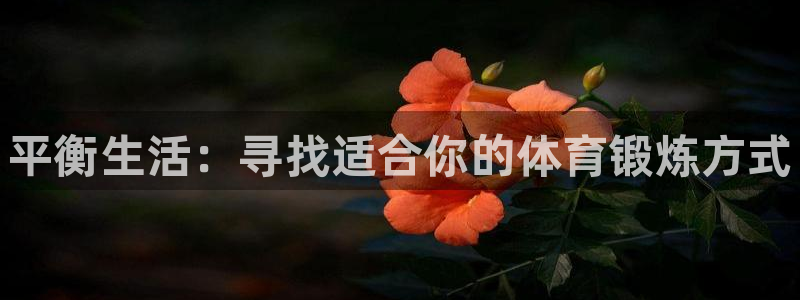 ug环球官网登录入口：平衡生活：寻找适合你的体育锻炼方式